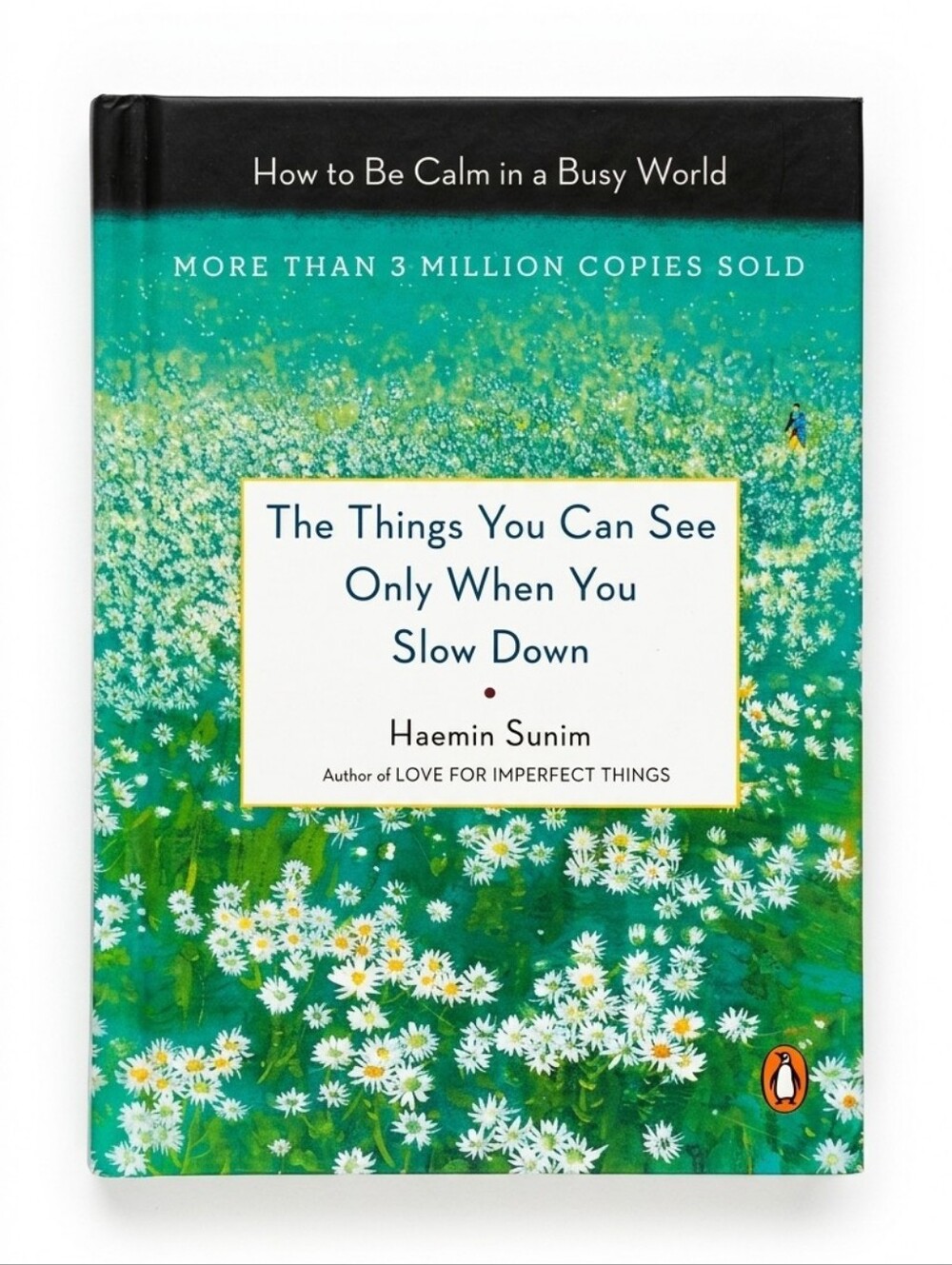 Haemin Sunim The Things You Can See Only When You Slow Down Hardcover Book